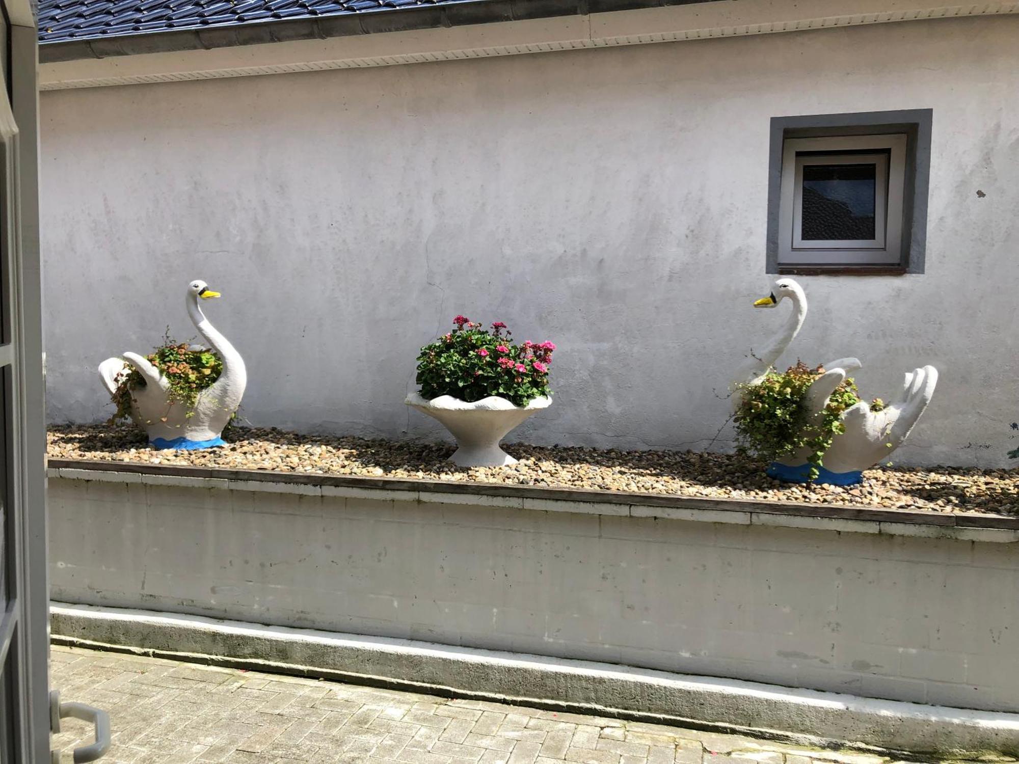 Garni Hotel-Pension Holum Neuharlingersiel Esterno foto